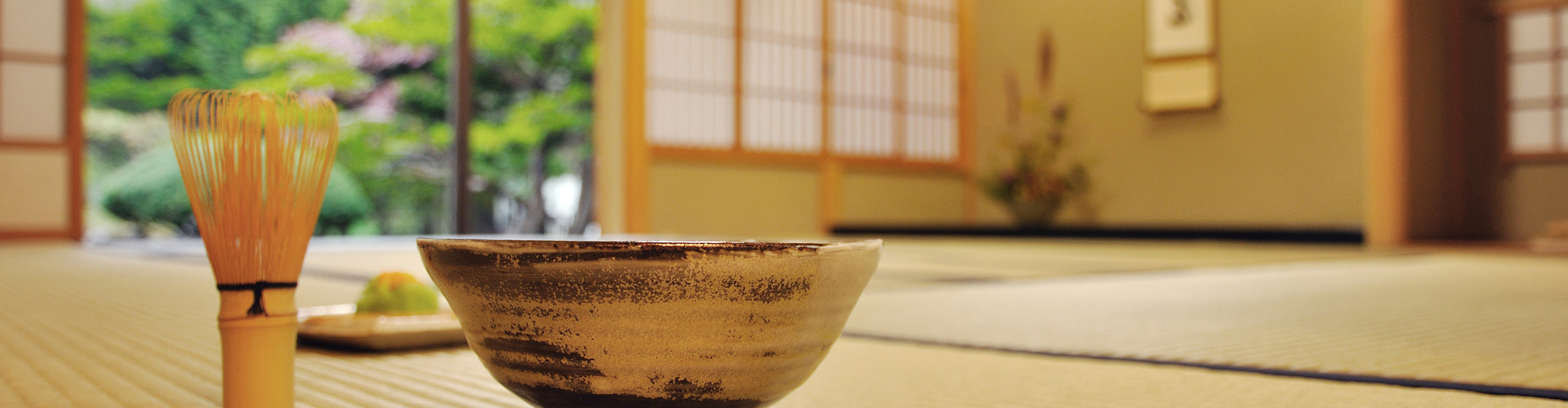 美鶴動(dòng)態(tài)