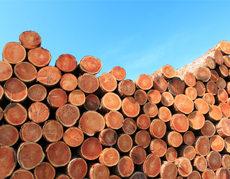 真材實料　進口木材